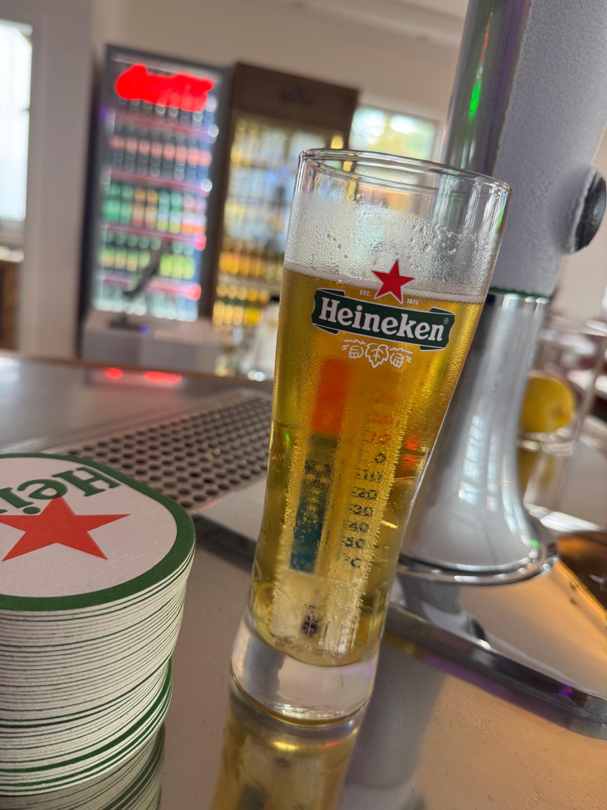 Bier